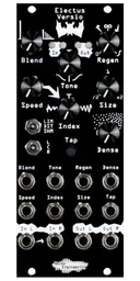 Clocked reverb/delay for stereo-in, stereo-out DSP platform in black | Electus Versio by Noise Engineering