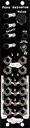 Pons Asinorum Eurorack module in black with buttons and knob at top and jacks at bottom | Noise Engineering
