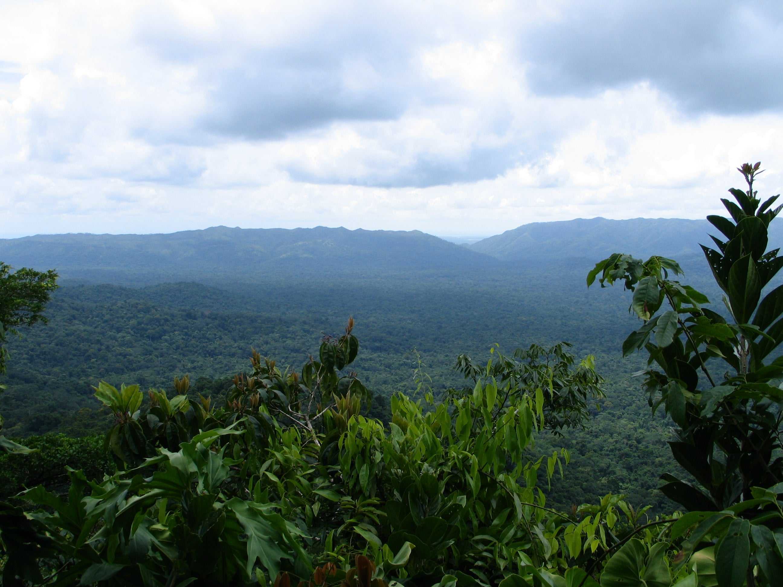 The Maya Mountains of the Belizean rainforest as viewed from mount Outlier