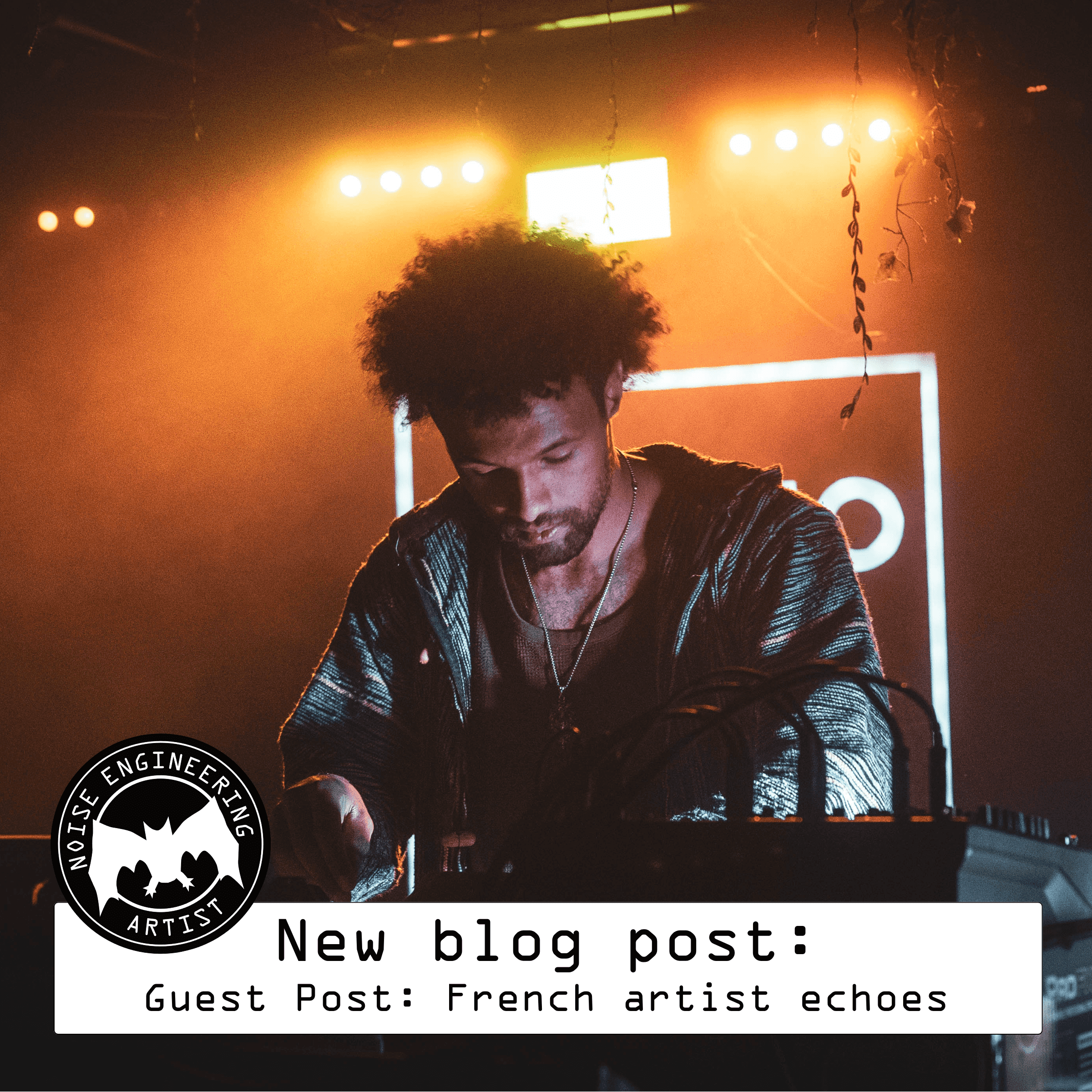 Click here for a guest post from artist echoes!